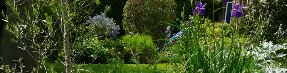 Garden and Landscape Maintenance Services in Kendal
