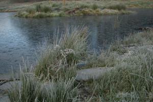 The frozen lake was a magical place this winter