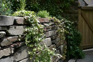 Town House Garden, Ulverston