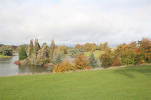 The poplared island with the beechwoods in the distance at Blenheim