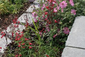 Slate stepping stones lead you through planted beds