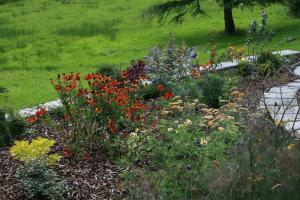 Newly planted beds