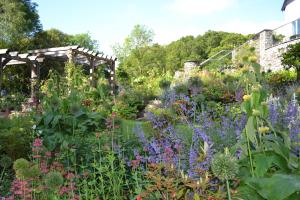 Lush planting