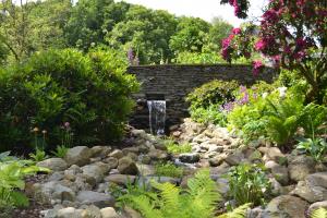 Water cascade and stream planting