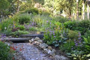 Wier and streamside planting