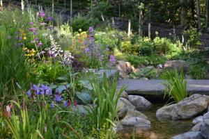 Streamside planting, irises and primulas