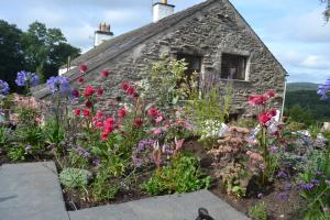 Courtyard planting