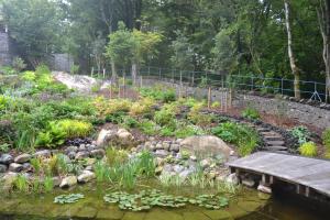 Rocks with a natural rock outcrop, decking and stepping stones