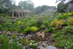 Irises, Rogersai aesculifolia, Gunnera manicata, Carex aurea, Astilbe fanal