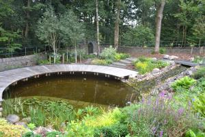 Marginal and pond side planting. Bats frequent this pond for food and water