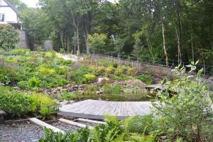 Pond and deck