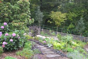 Stepping stones on upper terrace