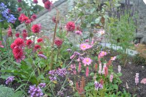 Raised stone planters-Agapanthus, Echinacea, Verbena and Persicaria