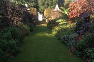 Borders of one lawn at Hidecote House