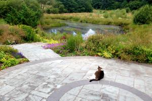 Local stone paving and pond side planting