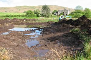 Pond Creation Nature Reserve