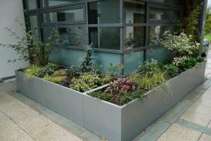 The large contemporary planters create a focal point in the paved courtyard & bl