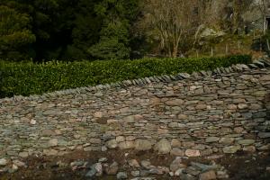 Traditionally built drystone retaining wall in Langdale