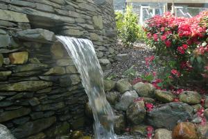 Waterfall and Rhododendrons