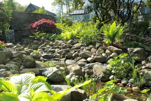 Stream side planting with hosts and ferns