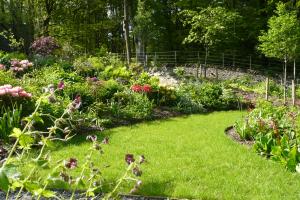 Terraced gardens with Rhododendrons in flower