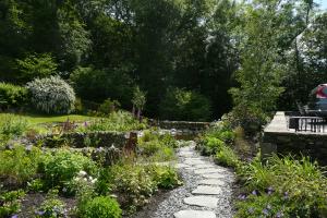 Stepping stones and pond side planting