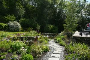 Stepping stones and pond side planting