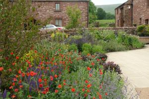 Planted courtyard garden