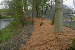 Riverbank Stabilisation