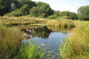 The lake was carefully sculpted to look as though it has been there forever