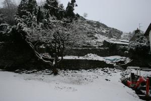 Chapel Style, Langdale, Lake District garden in the winter at -15 degrees