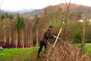 Gardeners are busy pruning ready for spring