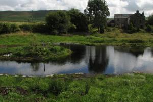 Completed Natural Wetland Lake and Pond Construction